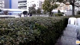 日韩在线色站|亚洲精品99久久久久中文字幕